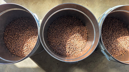 De perfecte tas koffie: Waarom TAS Specialty Coffee alleen medium roast aanbiedt?