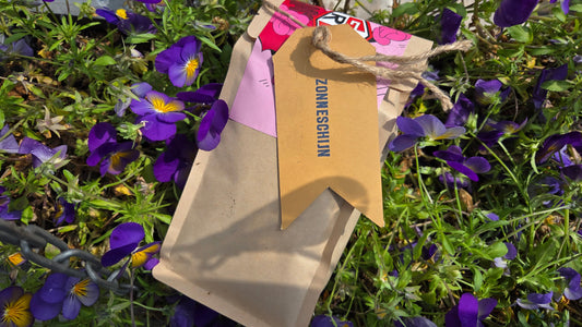Nieuw bij TAS Specialty Coffee: Zonneschijn!