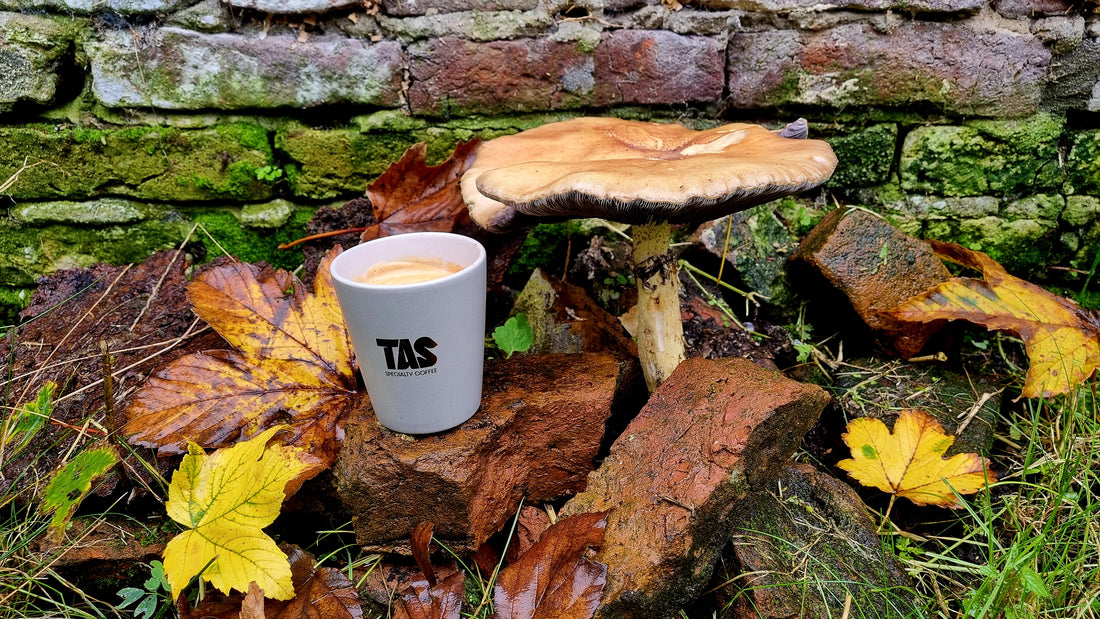 Vijf tips om te genieten van koffie in de herfst!