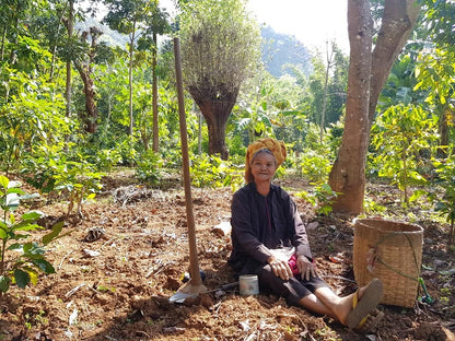 Koffiepakket - Praal & Hopong Myanmar